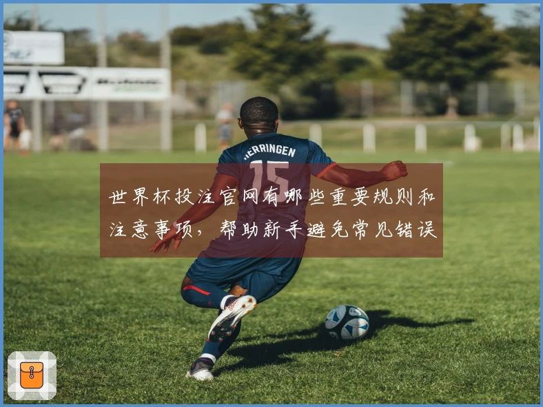 世界杯投注官网有哪些重要规则和注意事项，帮助新手避免常见错误？