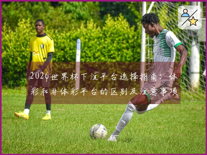 2026世界杯下注平台选择指南：体彩和非体彩平台的区别及注意事项
