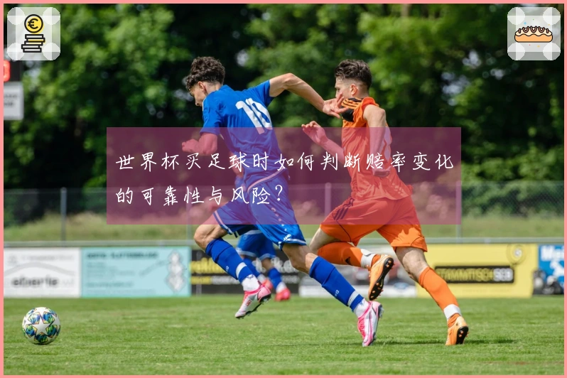 世界杯买足球时如何判断赔率变化的可靠性与风险？
